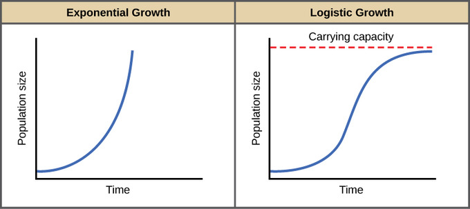 Exponential growth vs logistic growth